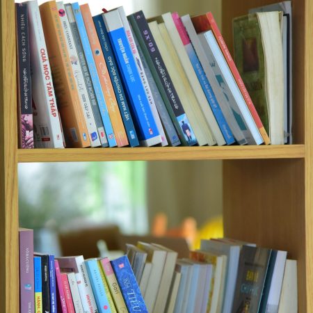 A wooden bookshelf filled with various books in a bright, well-lit room.